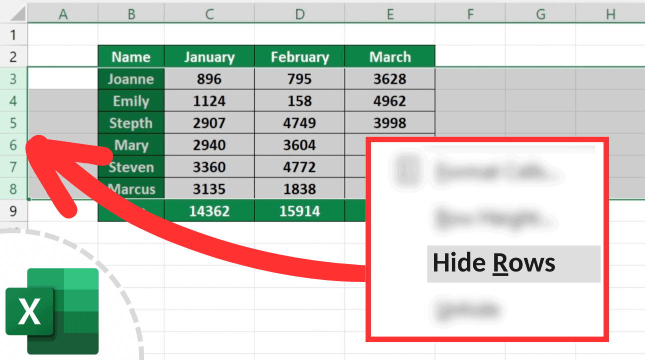 Hide Rows Numbers