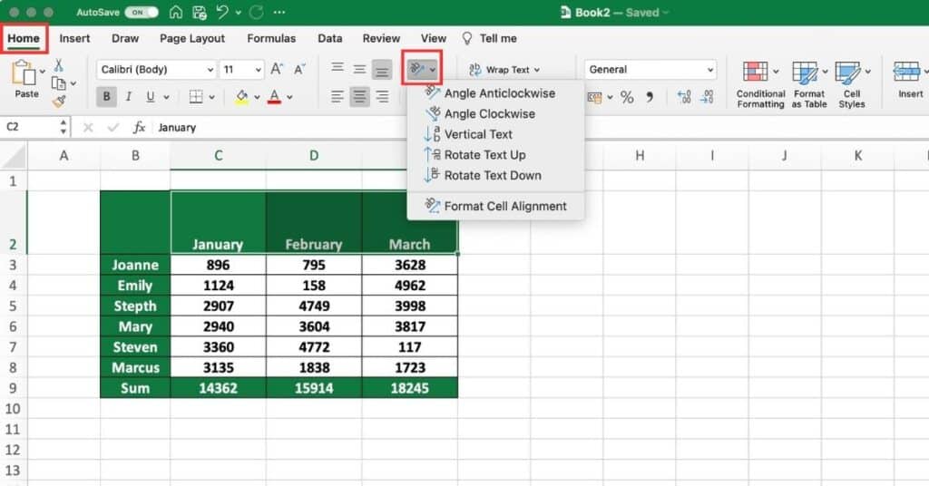 Excel Text Orientation