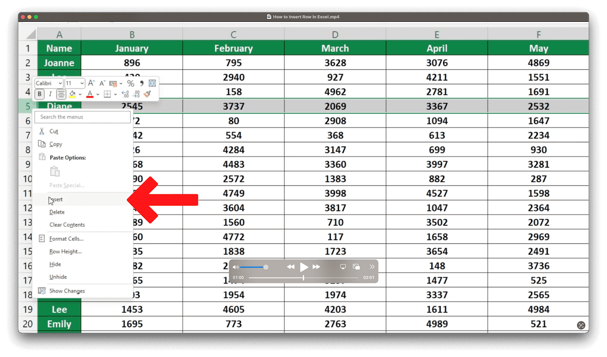 How To Insert Row In Excel Sheet Leveller 4995