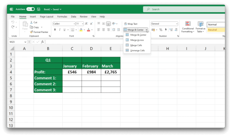 how-to-merge-cells-in-excel-sheet-leveller