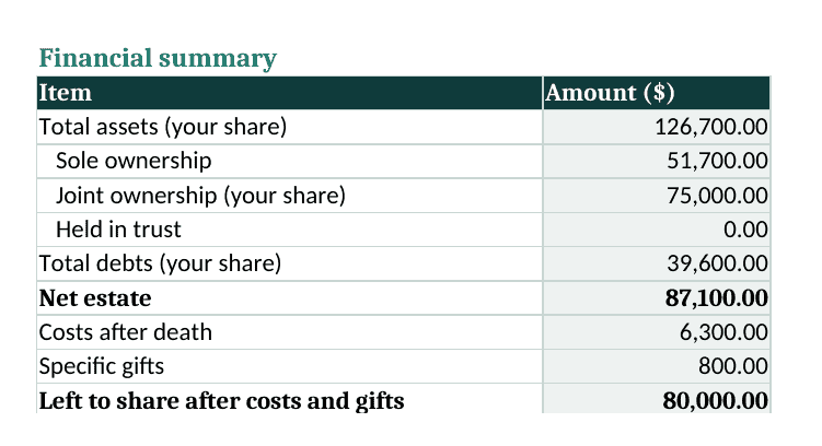 Summary sheet with the financial summary and assets by ownership